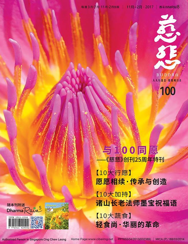 《慈悲》100期
